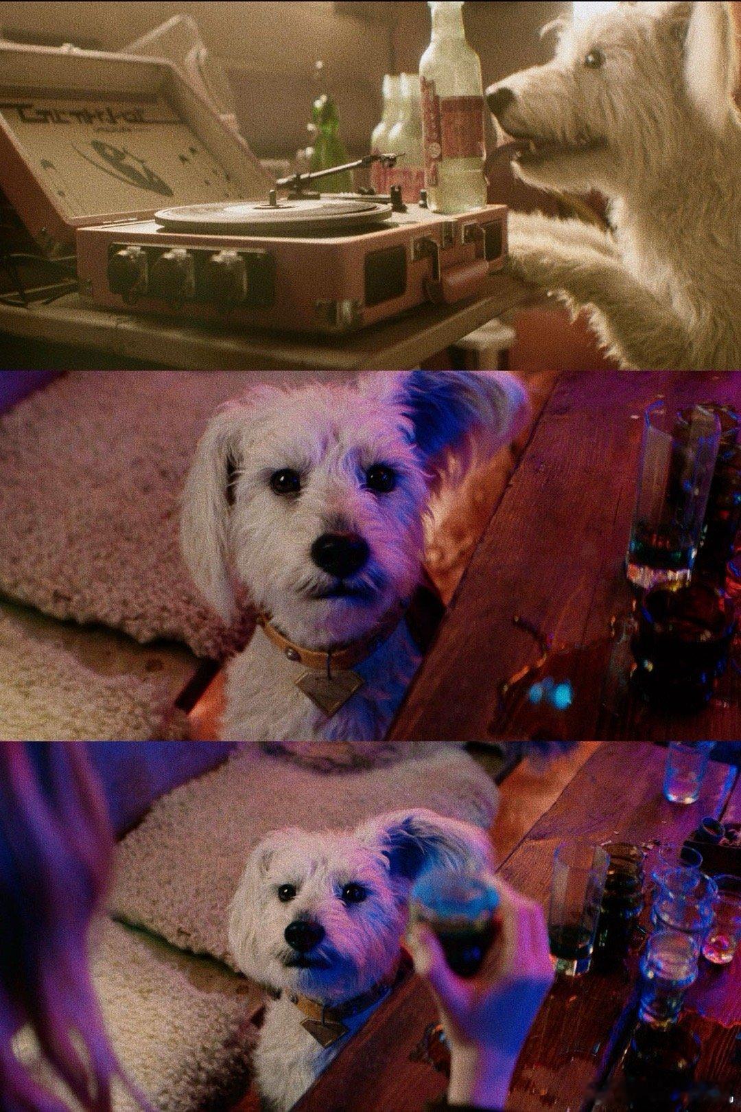 超级少女首支预告超级少女先导预告 超级少女的新预告值得N刷，古灵精怪的个性让人觉