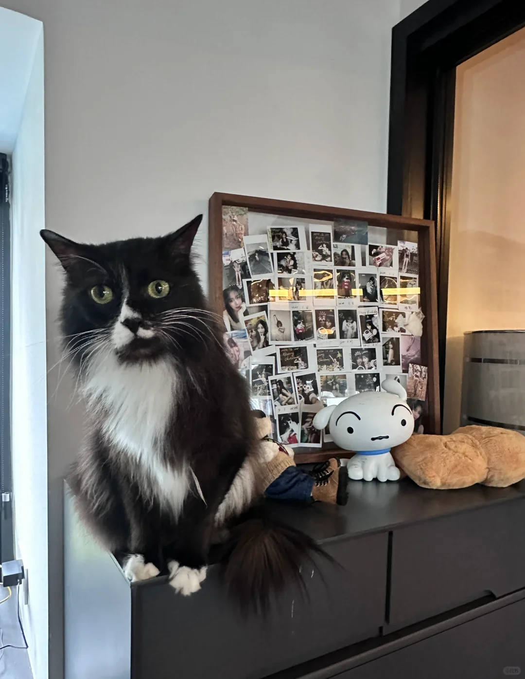 照片还是要打印出来才有意义！！