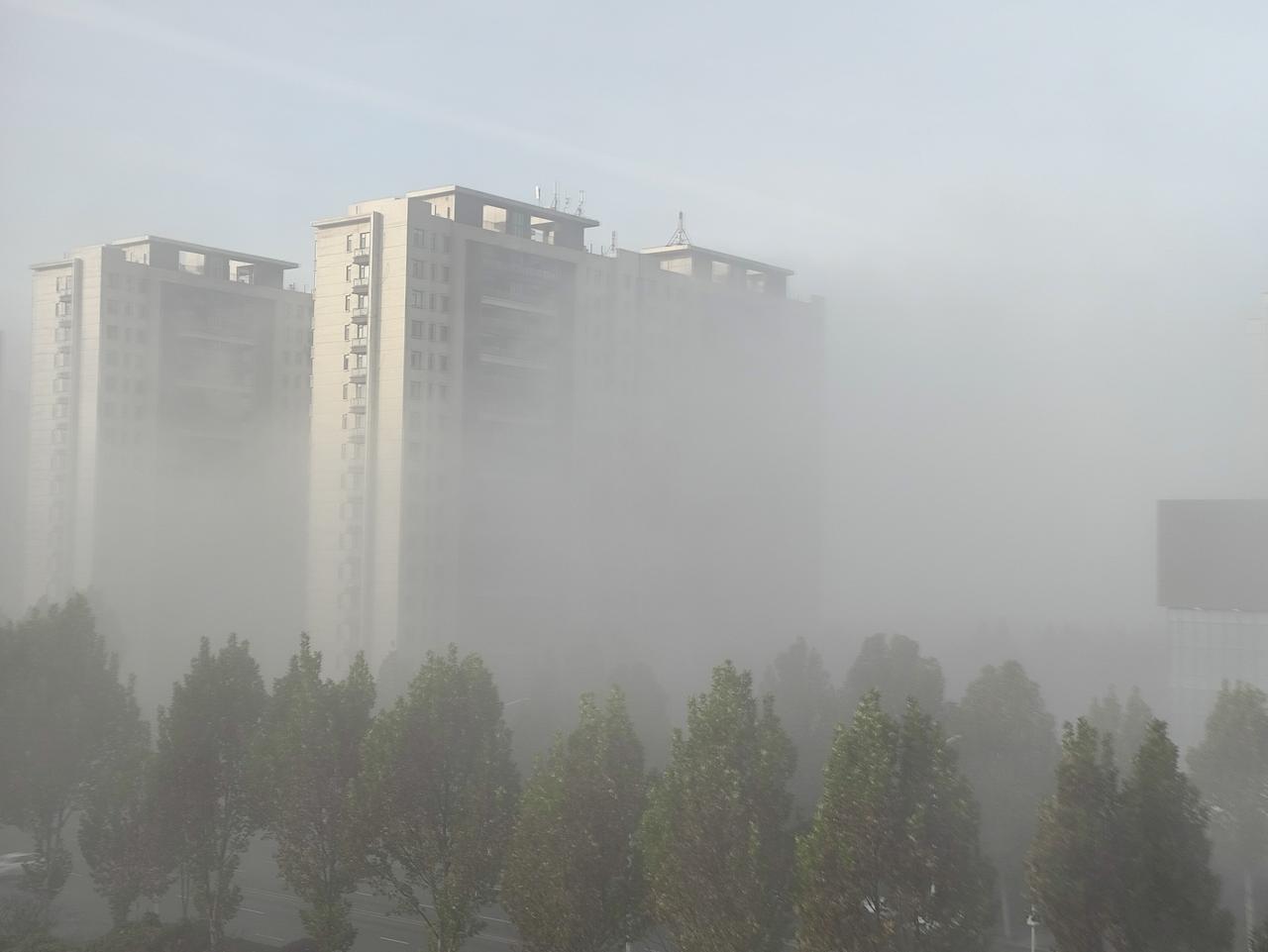 冬日生活打卡季雾蒙蒙