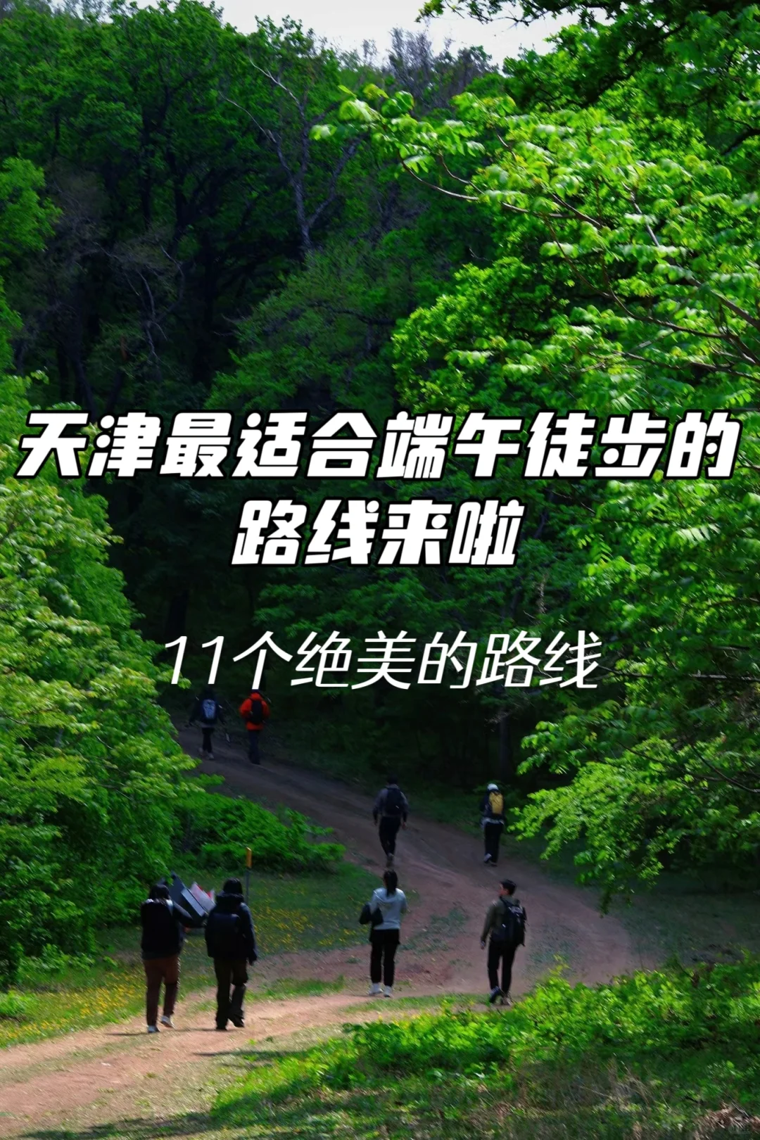 天津最适合端午假期徒步的路线来啦
