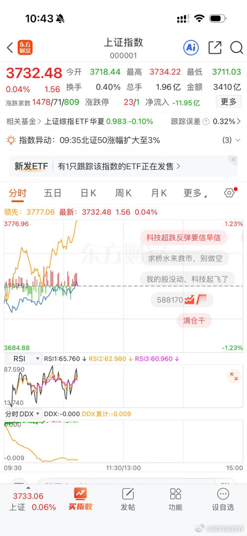 反弹开始了 ​​​