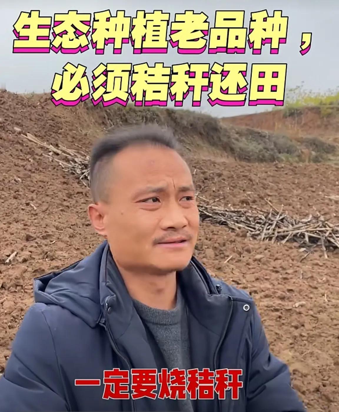 秸秆能不能烧
秸秆要不要还田
应该是老农说了算
应该是土地说了算