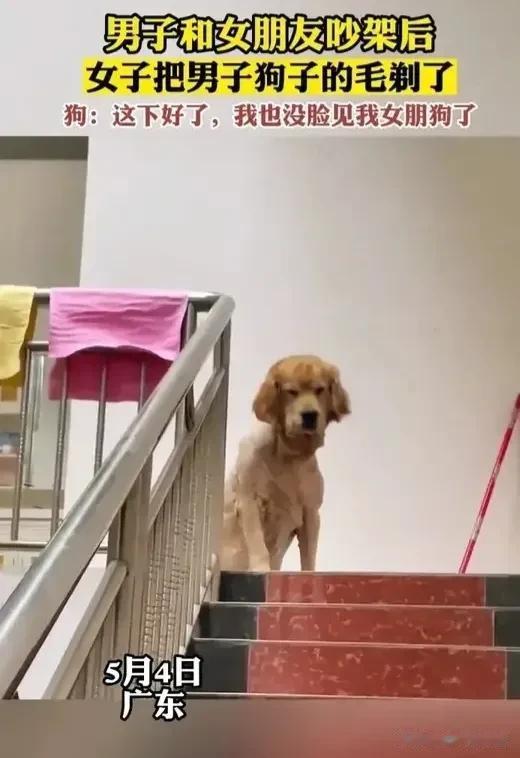 “太不可理喻了！”近日广东，发生了一件让人看了哭笑不得的事情！一名男子和女朋友吵