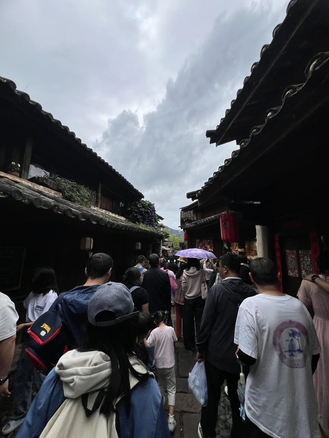 今天的沙溪！本以为大理古城已经够挤了…直到来了沙溪…今天的沙溪也是人人...