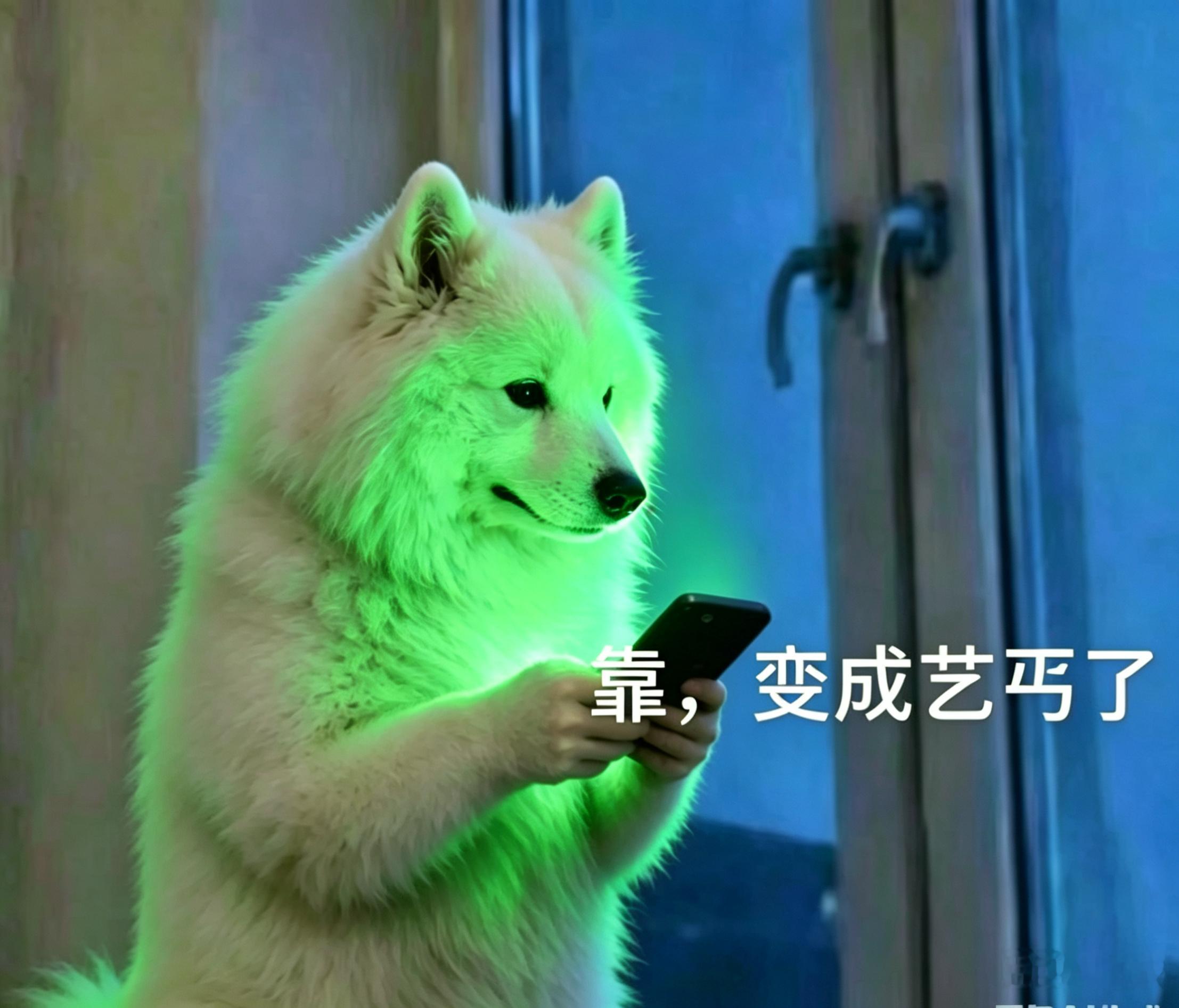 这什么啊这！ 