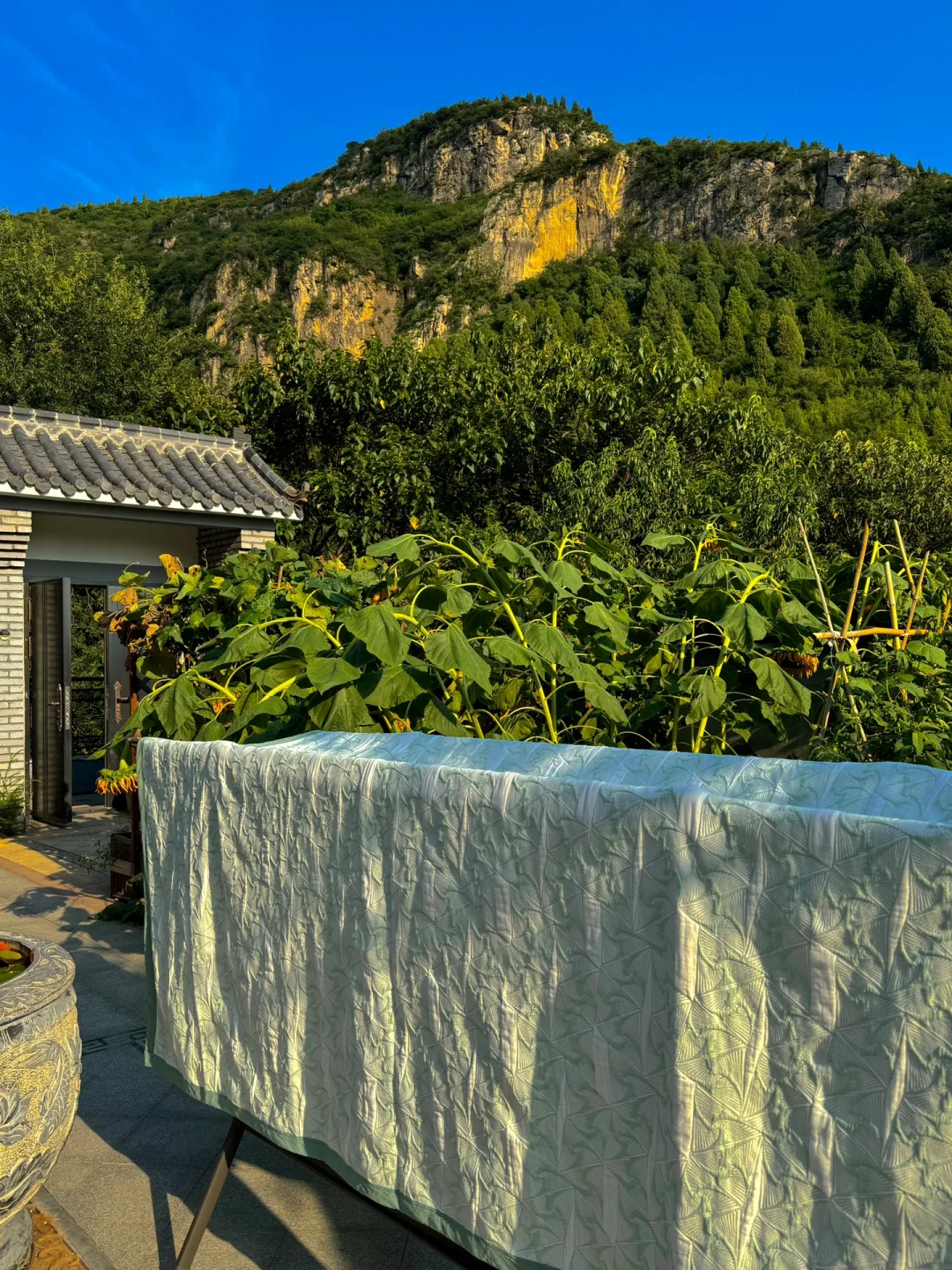 秋分，过很养人的古人生活：女子顺季疗愈法～