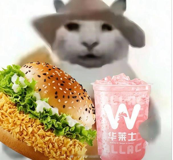 买了个套餐边吃边看比赛，还没吃完第一把结束了 ​​​