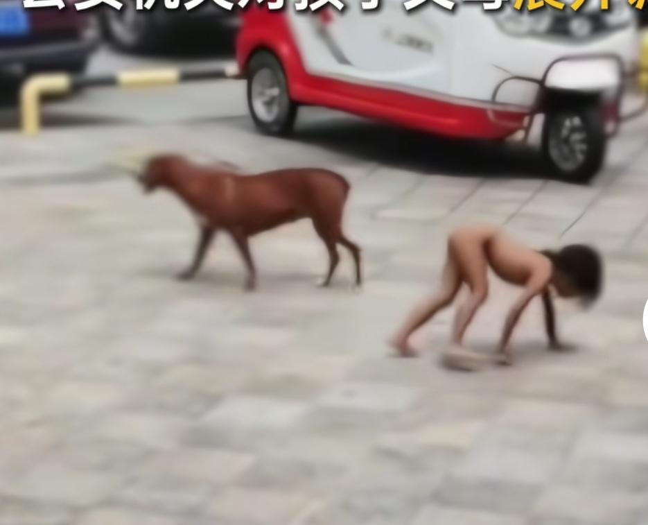 有传闻称爬行小孩在云南快出境了，不知真假。
一直没新消息，要是真落了北京户口，也