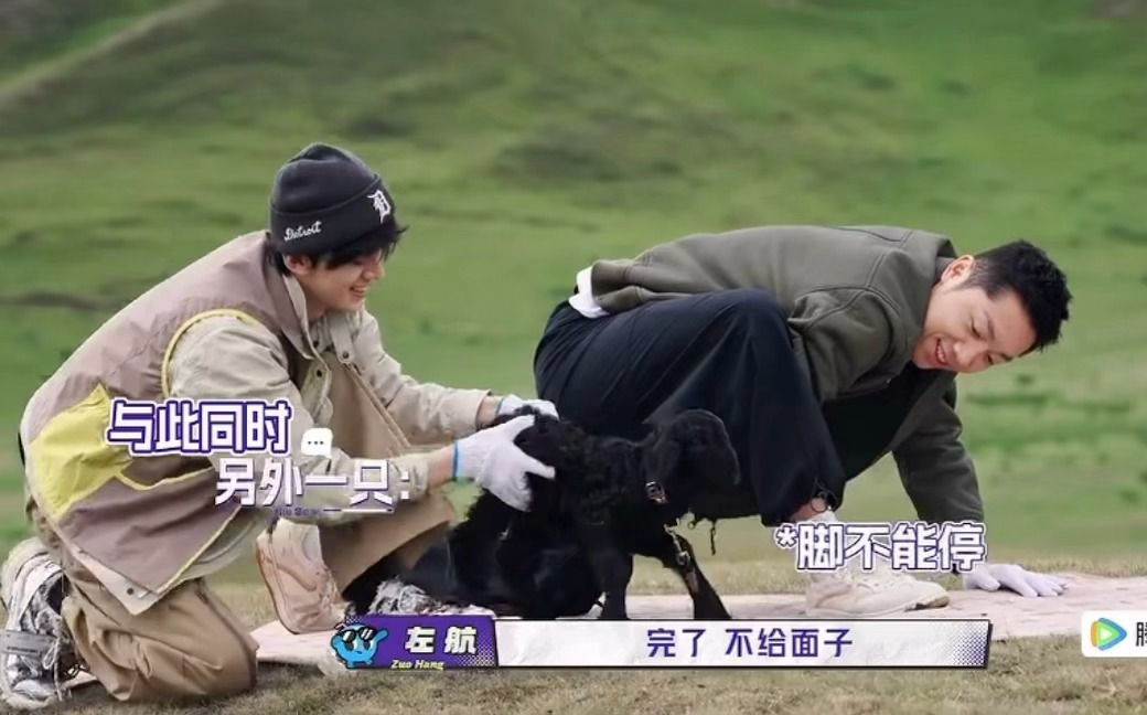 好萌好萌呀 我又想到我家抓鸡妹了[兔子] ​​​