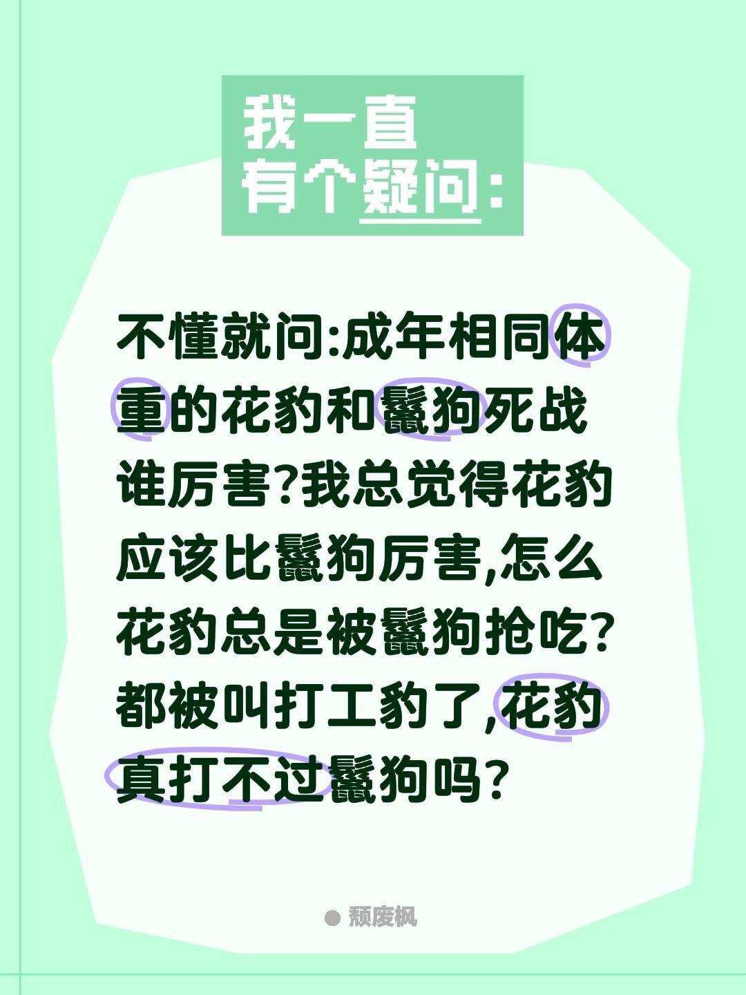 非洲豹和鬣狗谁厉害?不懂就问:成年相同体重的花豹和鬣狗死战谁厉害?我总觉得花豹应