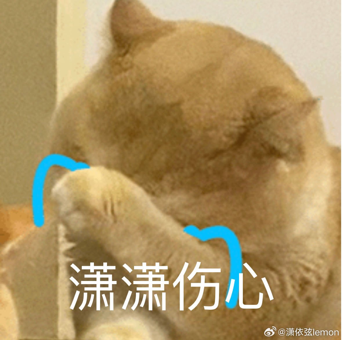 其实我觉得当初你都没有真心想帮我来的