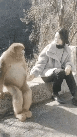 动物之间的感情交流……
一个是母老虎……[呲牙]
一个是弼马温……