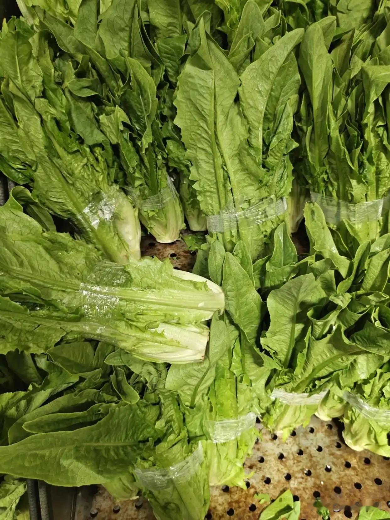 大家知道买油麦菜，是选择细杆的好还是粗杆的好？
