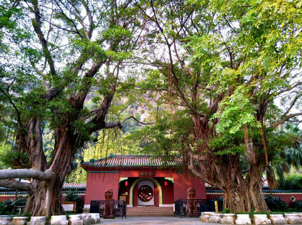 肇庆三大景区面向珠海市民免票（“粤超”）本周末迎来常规赛第六轮的对决。6月13日