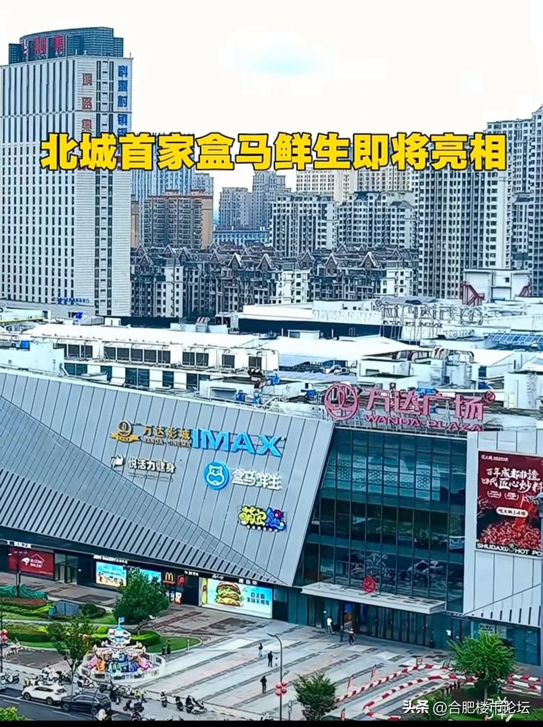 合肥北城是真属于刚需福地，房价很低。但是该有的配套一样不少，现在首家盒马鲜生也要