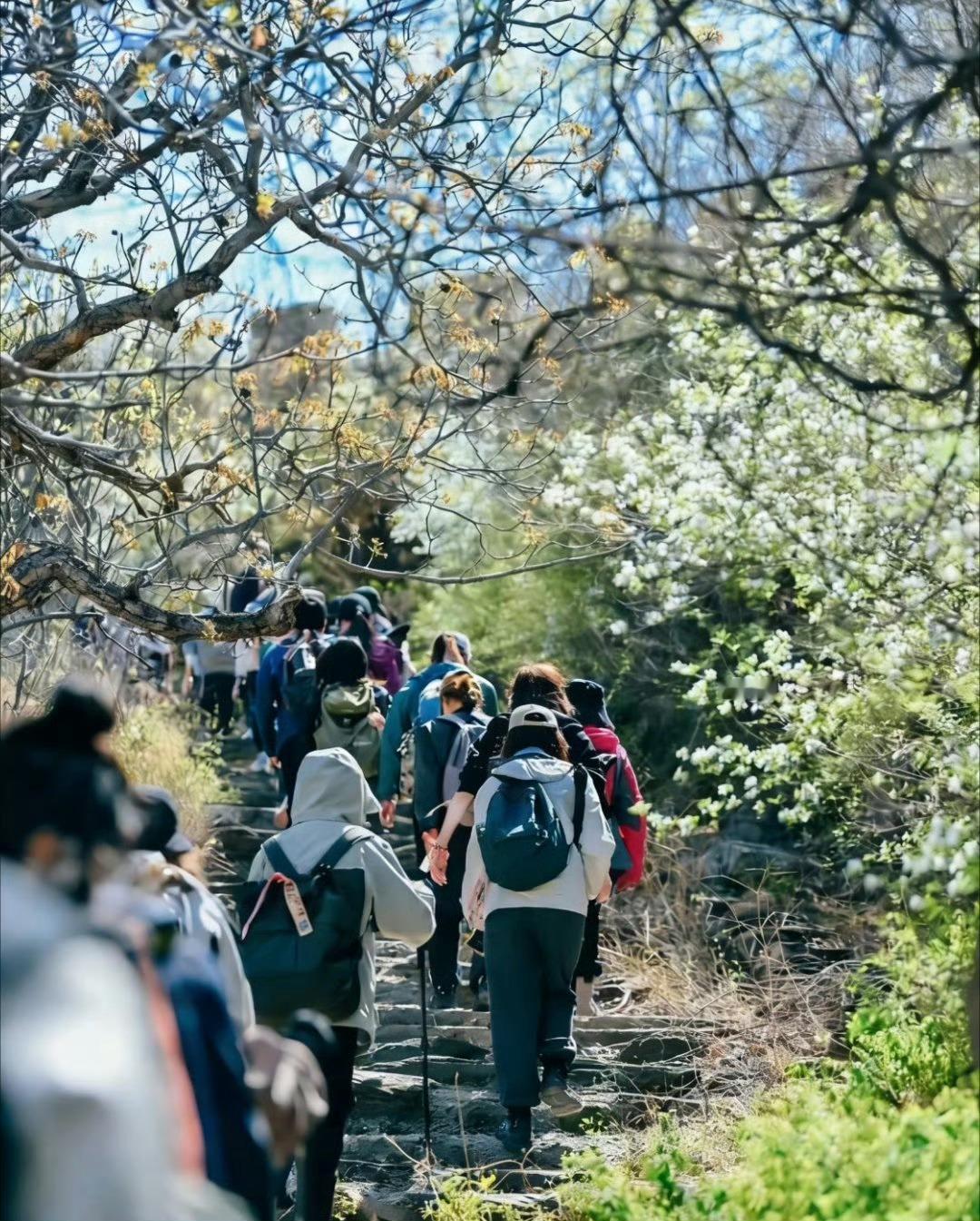 北京春日暴走代谢数据实测 阳光正好，暴走北京胡同太合适！实测3小时步行2.8万步