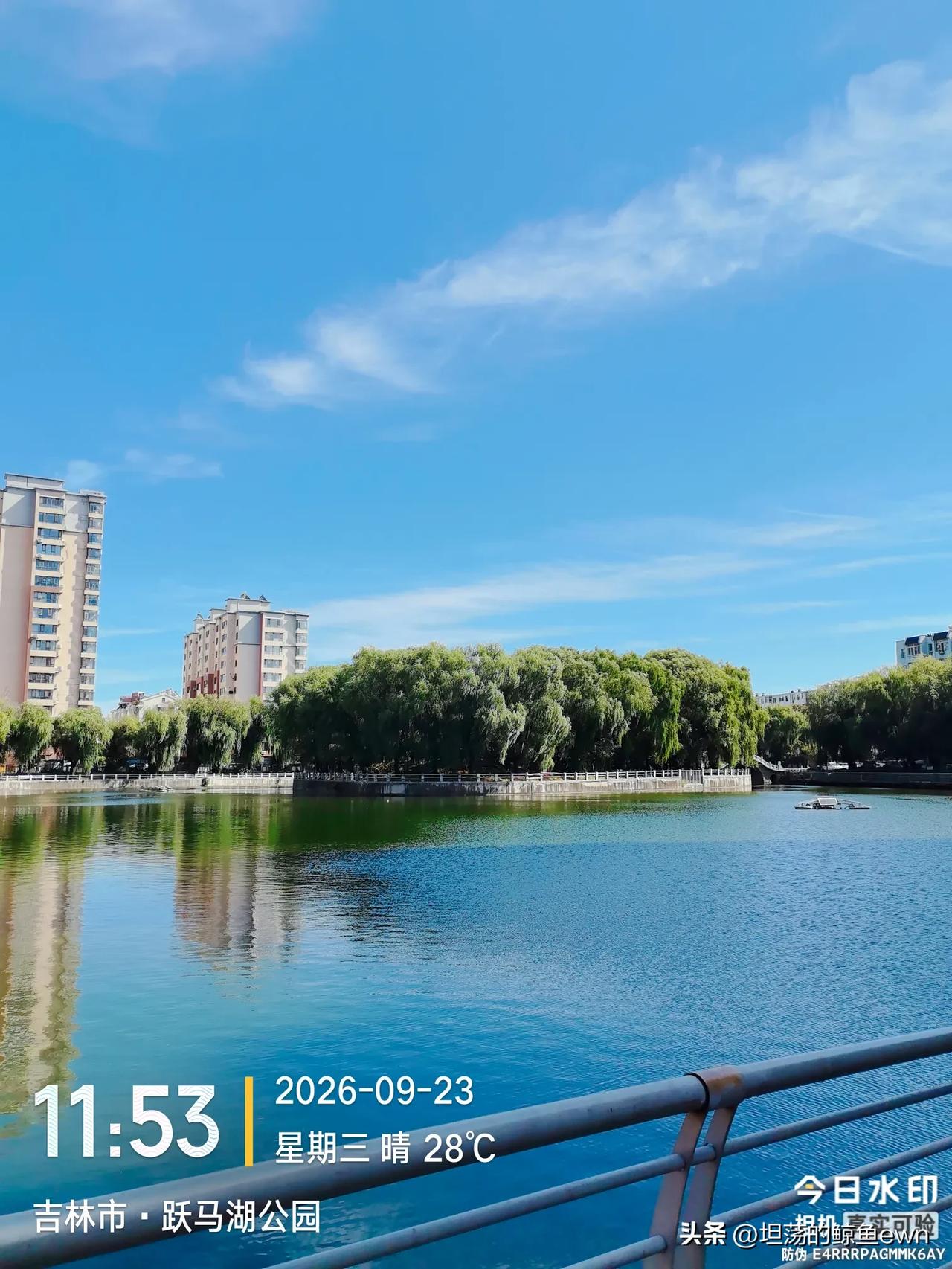 乒乓球男团的失利是球迷早已预料之中的事情，球迷只是没想到是在本届亚运会，更没想到