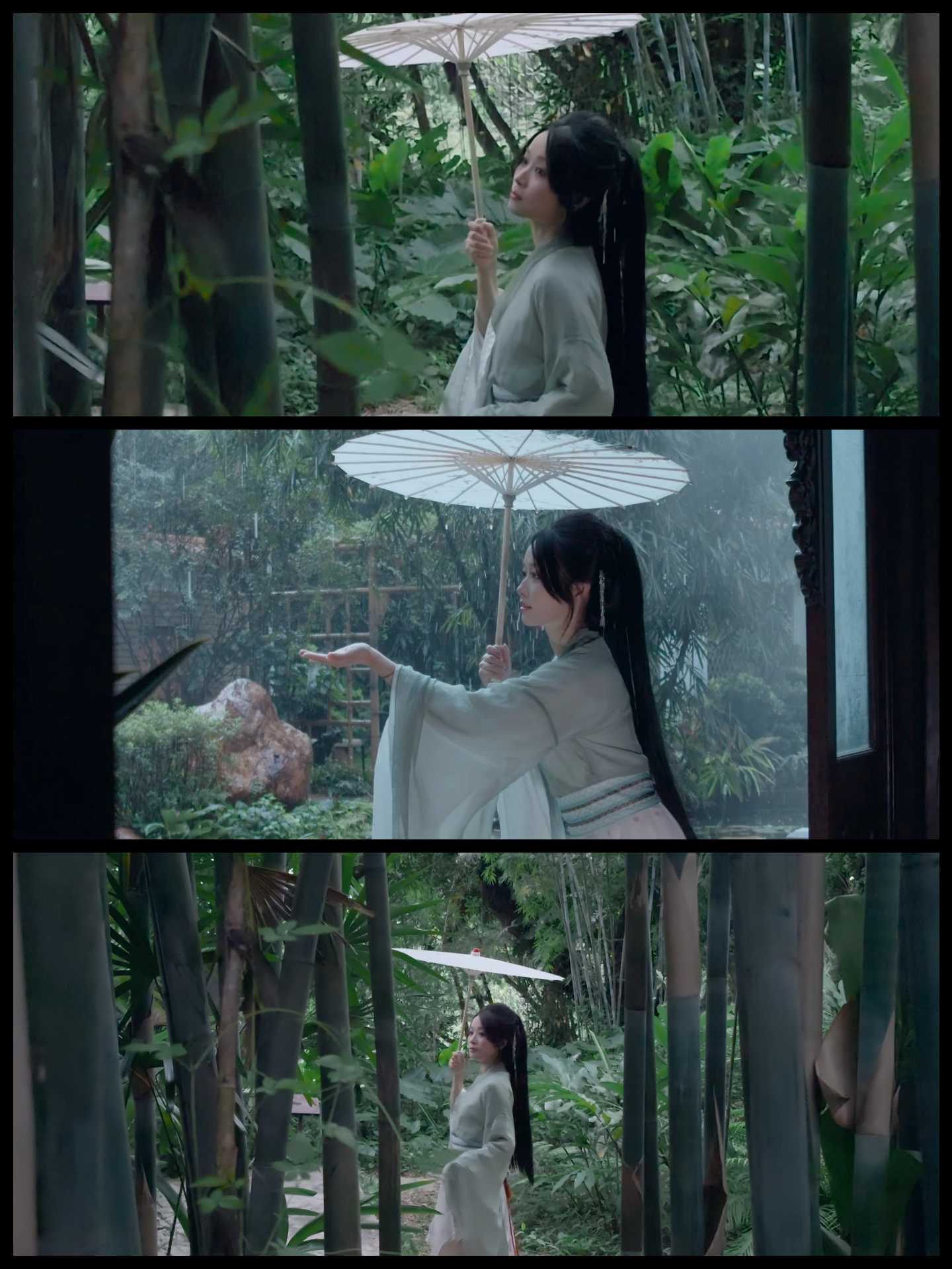 兰圃听雨，青绿入梦在广州兰圃公园，雨丝落在青瓦、兰叶与石阶上，青绿漫成一层薄雾。