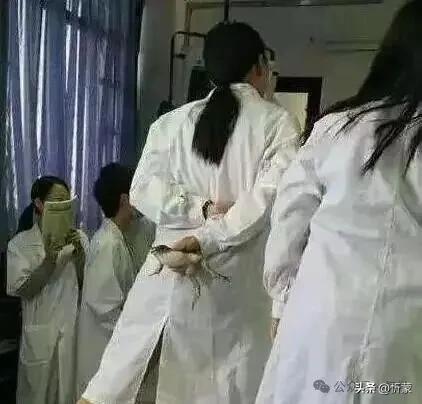千万不要惹学医的女生~