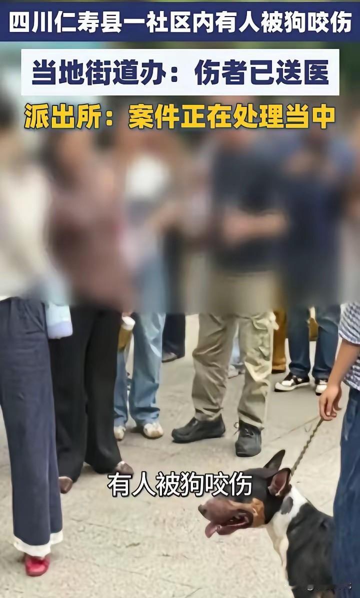真正文明的城市，不是把狗捧上神坛，是普通人免于被狗咬伤的恐惧！看样子要留疤毁容了