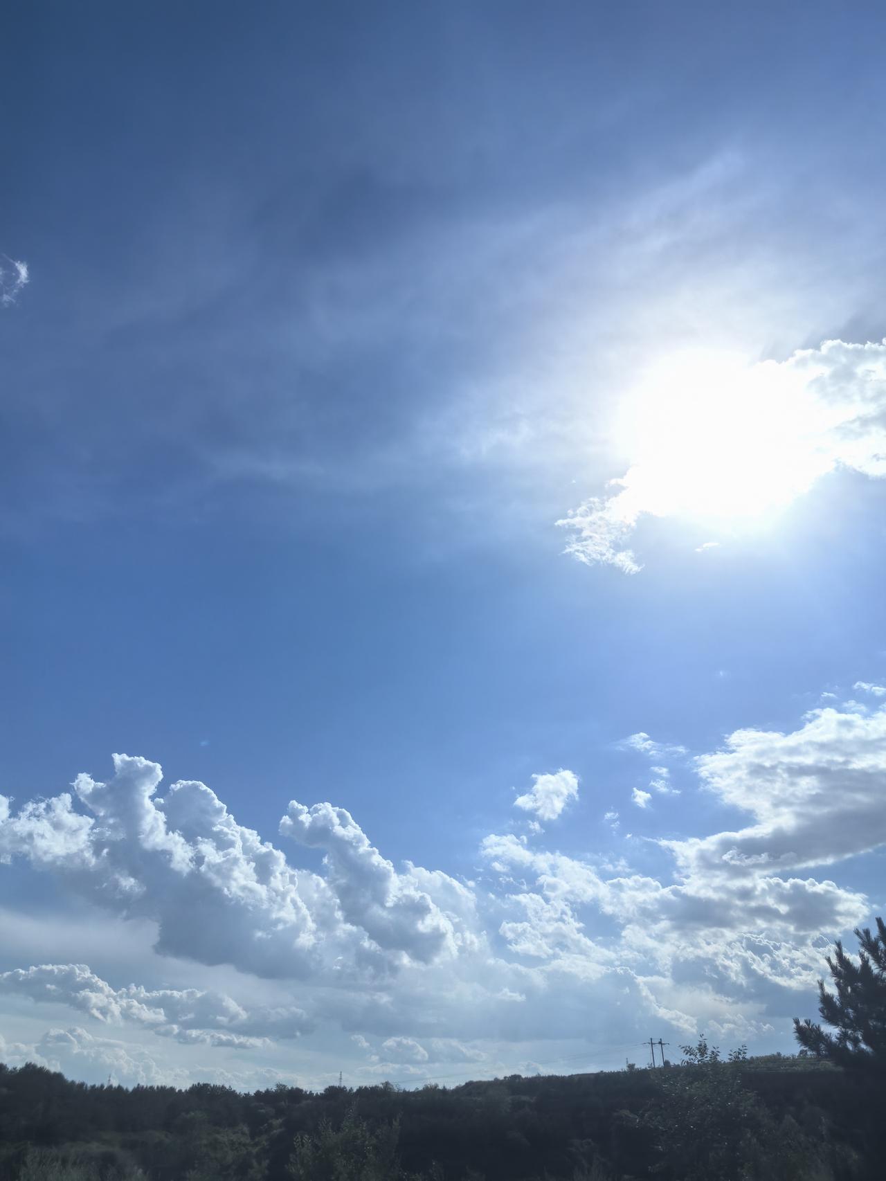 阳光洒满天空，云朵悠闲飘荡，自然美景尽收眼底。🌞🌤️🌳