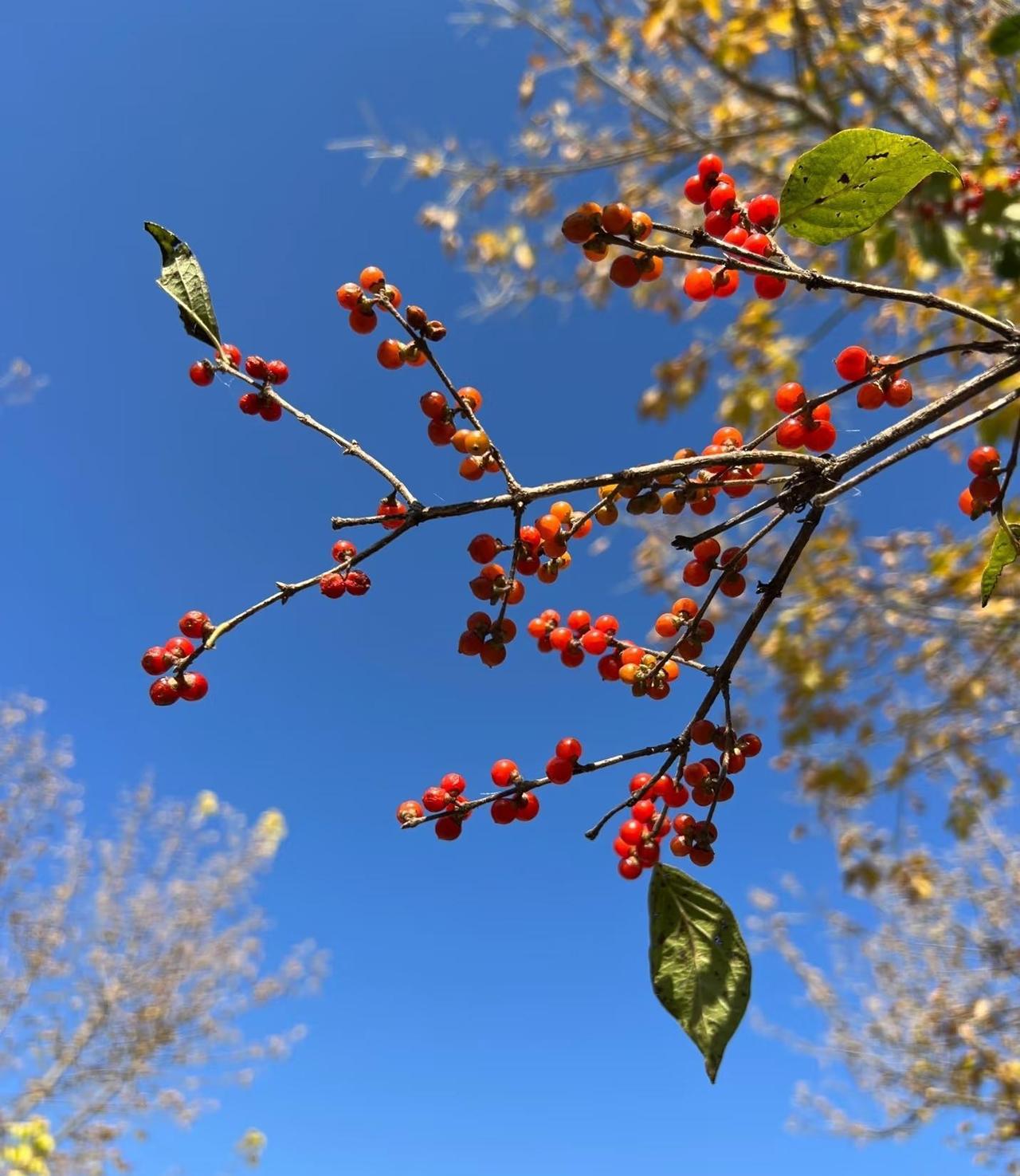 我真受不了我老公 我老公今年62岁，不抽烟不喝酒，唯一的缺点就是太好色了，看见美
