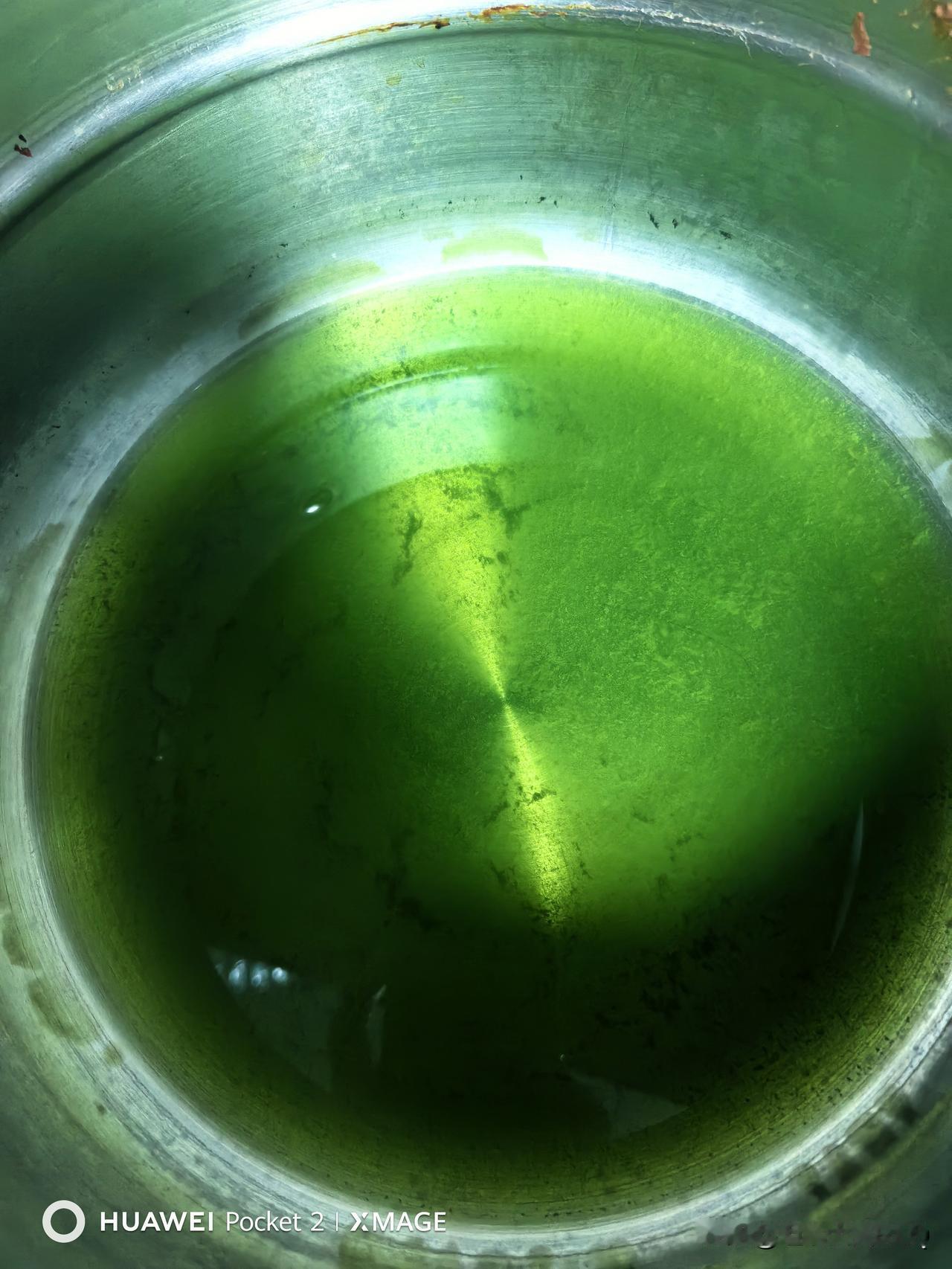 一日一餐，好好吃饭，无油无盐无糖，治好三高，心里不再担忧。余生有涯，让心坦然，无