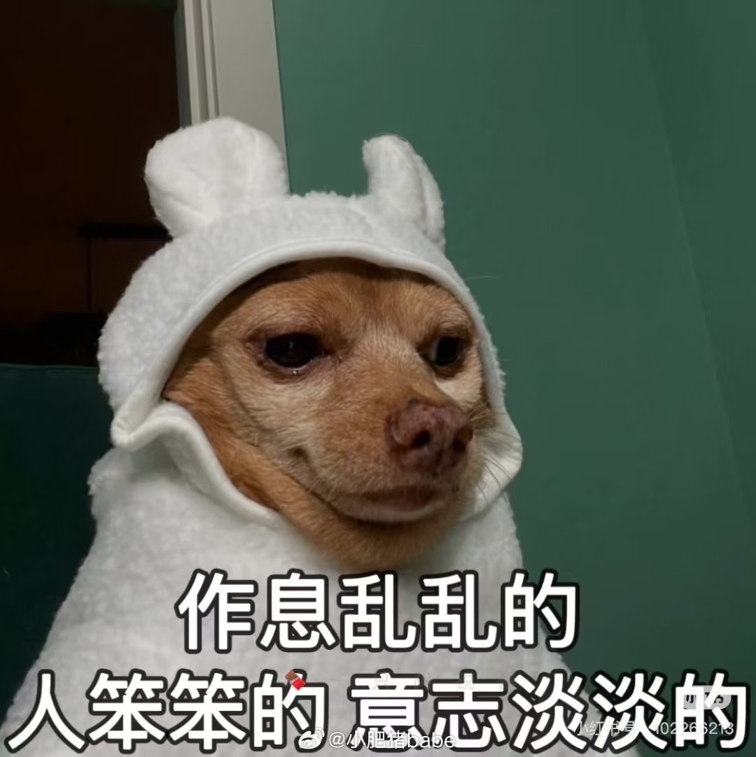 为什么要考试[淡淡的] ​​​