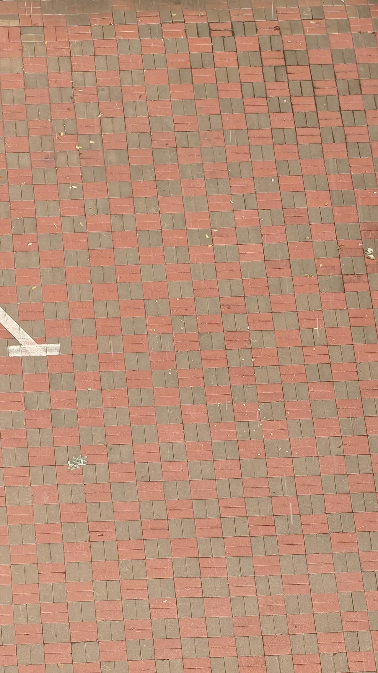 8月5日早晨，石家庄露着太阳下雨🌧。为早晨急着上班的增加烦恼，大家路上开车小心