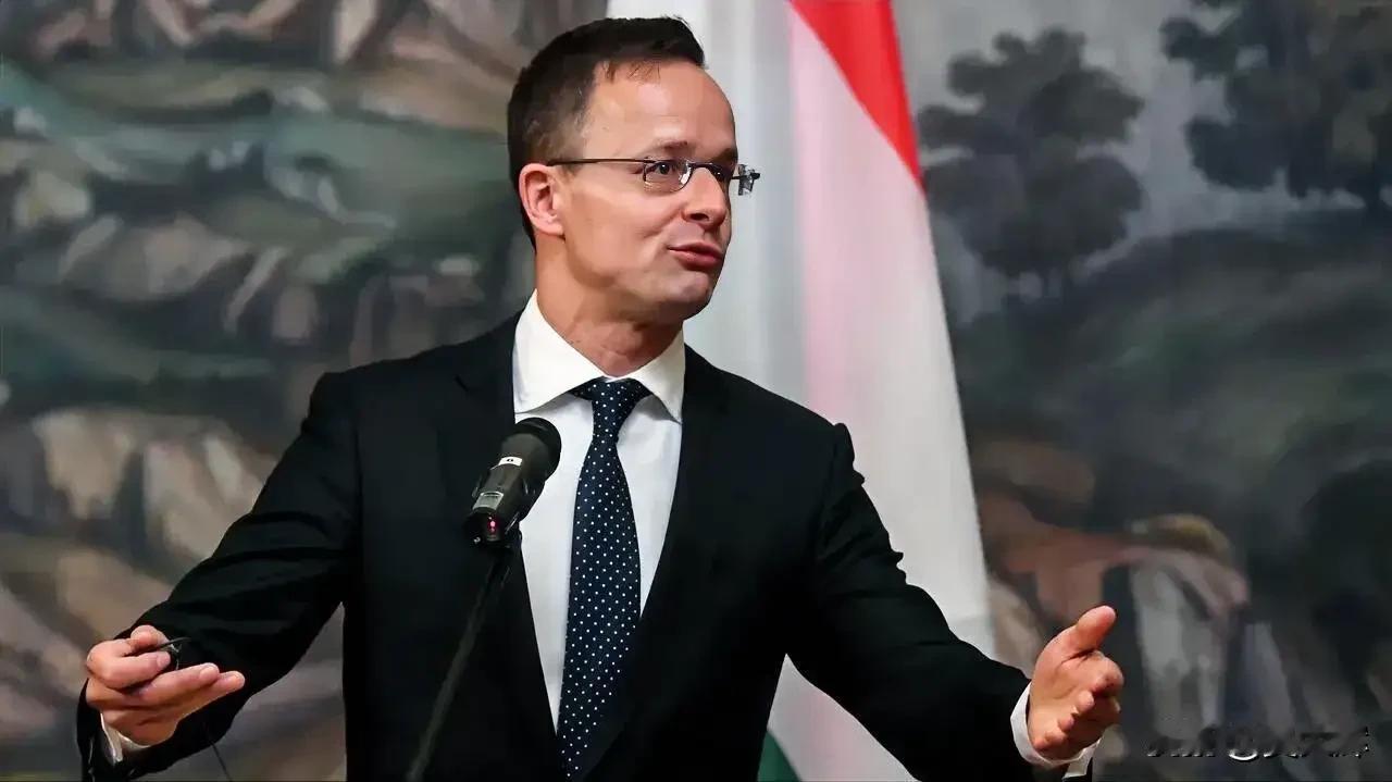 【匈牙利外长：欧俄冲突可能于2030年爆发，欧盟计划2029年前进入全面作战状态