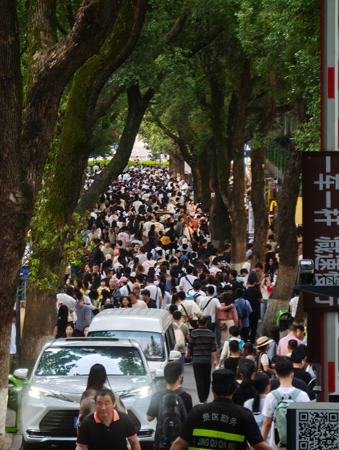 今日份的登高路 