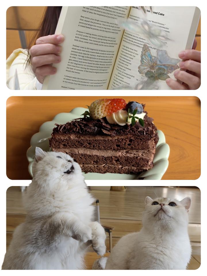 万物皆可出圈？可惜我的脑洞还是不够大💥

难道iPhone做了那么多年live