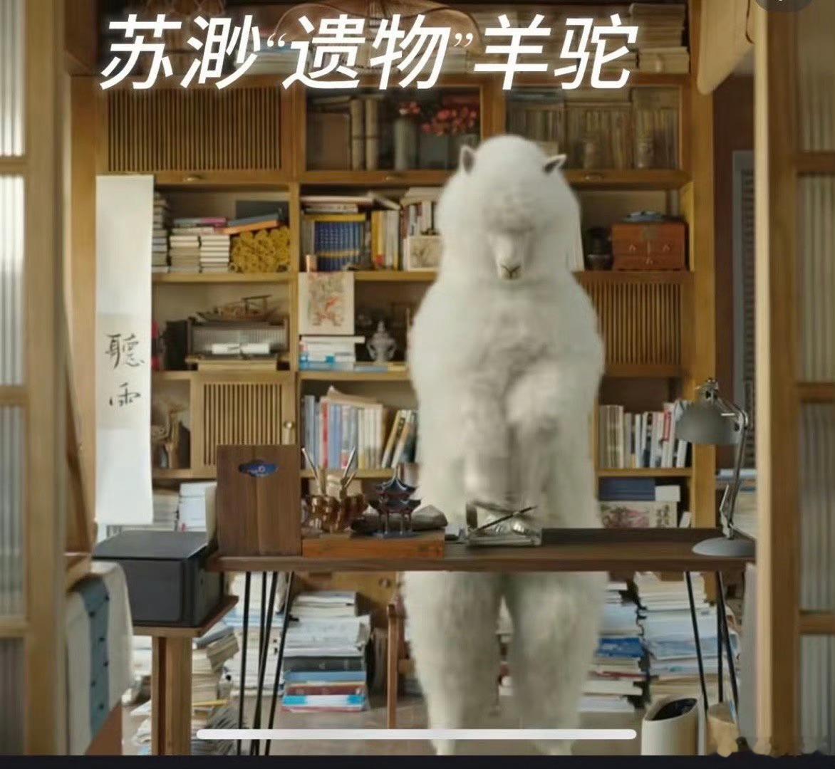 苏橙橙手镯借我戴几天苏橙橙的手镯，璀璨如星辰，借我戴几天吧。它仿佛承载了她的故事