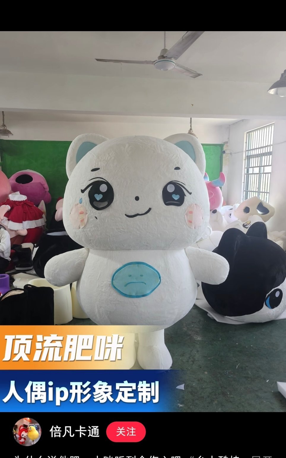 哈哈哈哈怎么是顶流肥咪加点zuo料