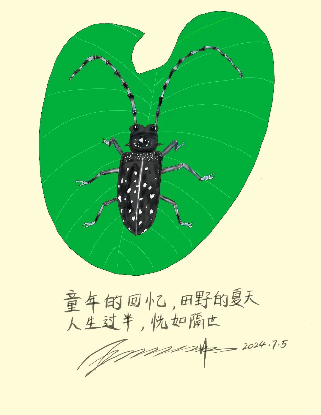 童年乐趣