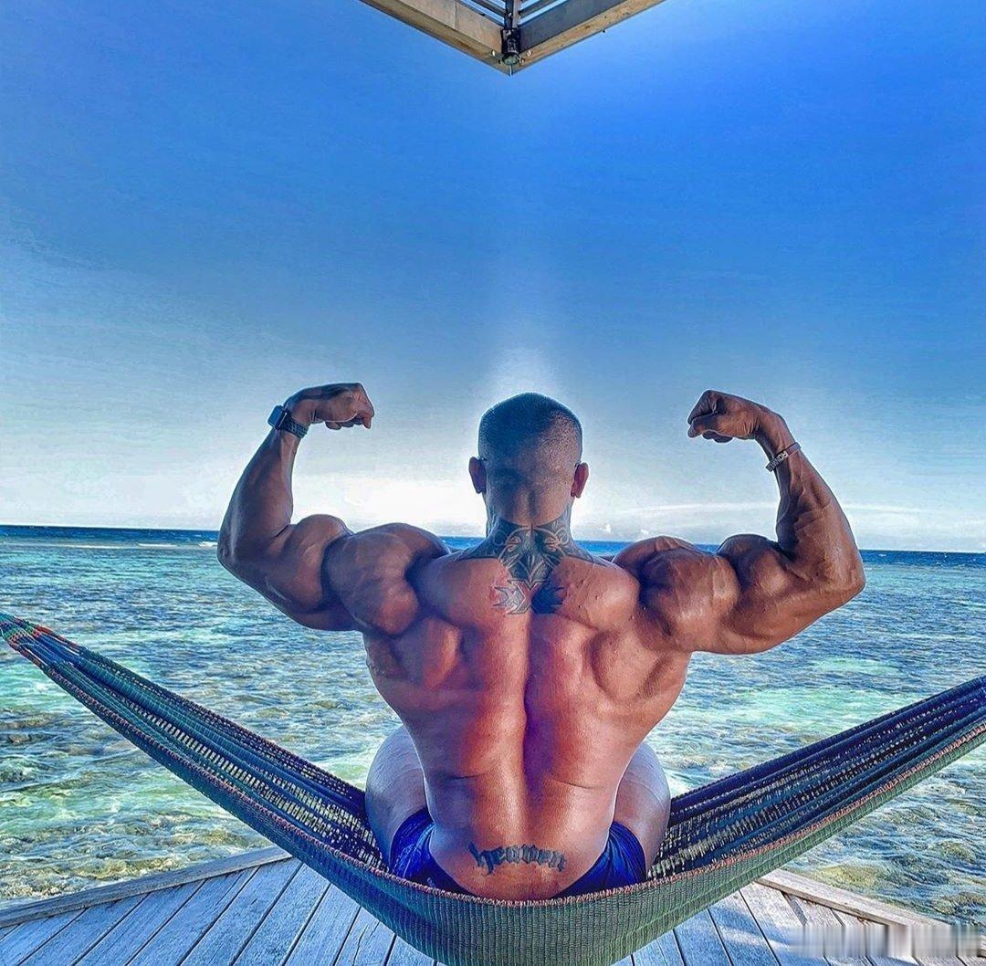 【MUSCLE】() 