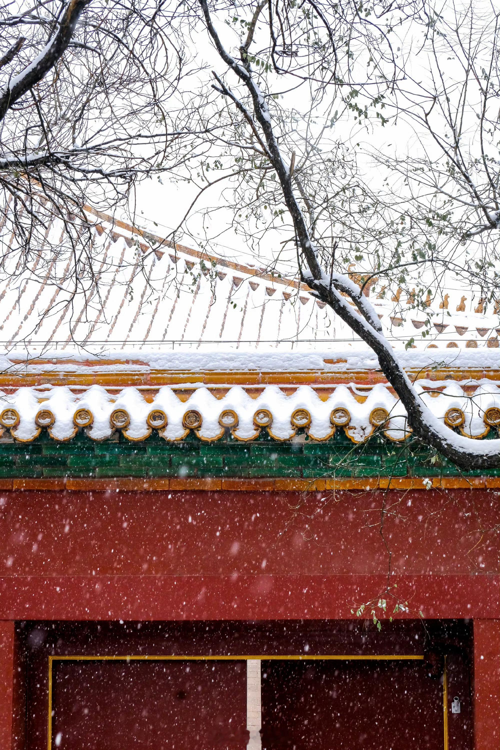 北京下雪  北京的第一场雪来啦！！一定要去的故宫！！❄️悄然降临在故宫的每一个角