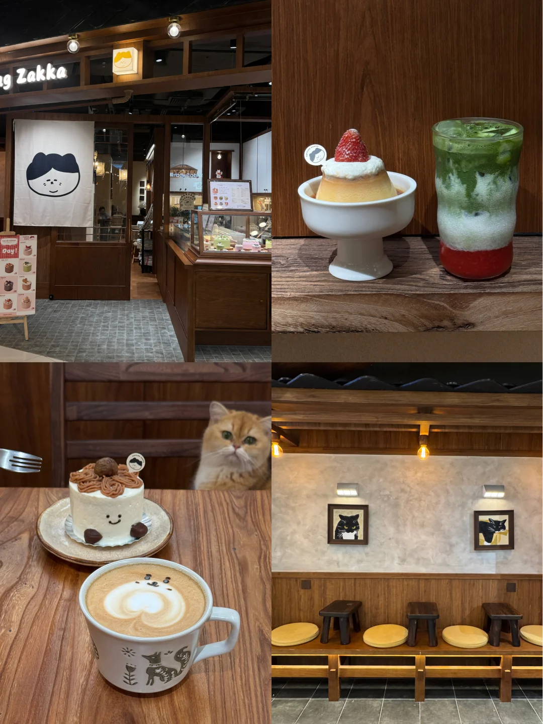 广州新店🍰 ⊹·🐈🍮 好可爱日式猫猫咖啡店