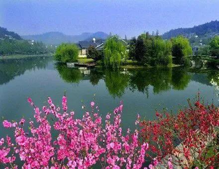 《问春》七律
 漫步郊原意绪纷，欲询春信向流云。
花因何绽娇颜俏，柳为谁抽嫩绿纹