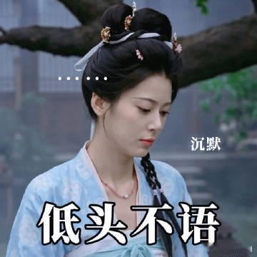 赵昭仪[超话]提起北斗七行流泪的不只是赵昭仪花儿与少年人海之中有幸相逢，北斗七行