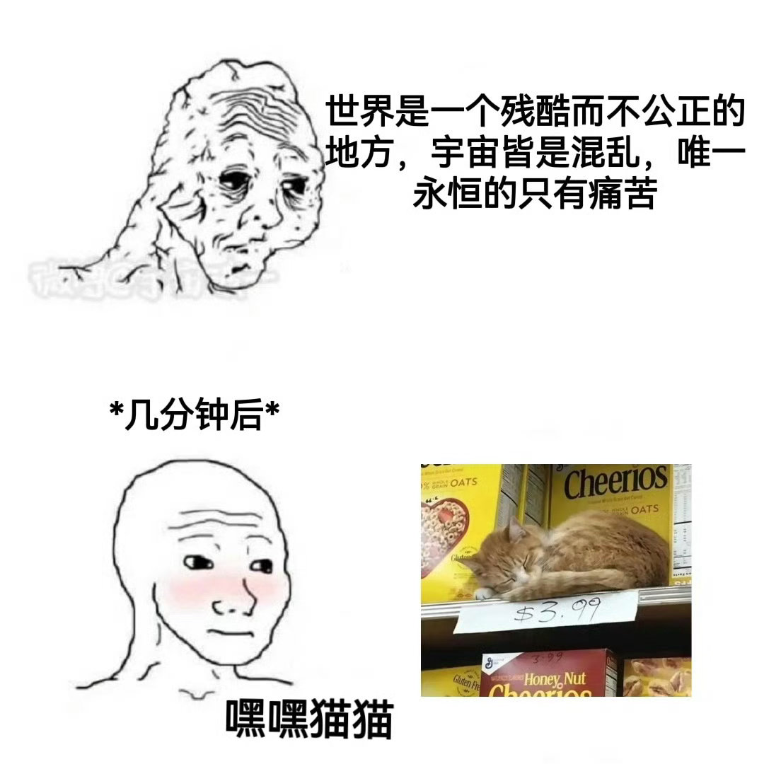 嘿嘿猫猫 