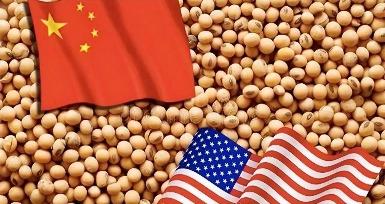 中美农产品贸易回暖， 中粮据报预订六船美大豆 ？

根据“彭博社”报道，随着中美