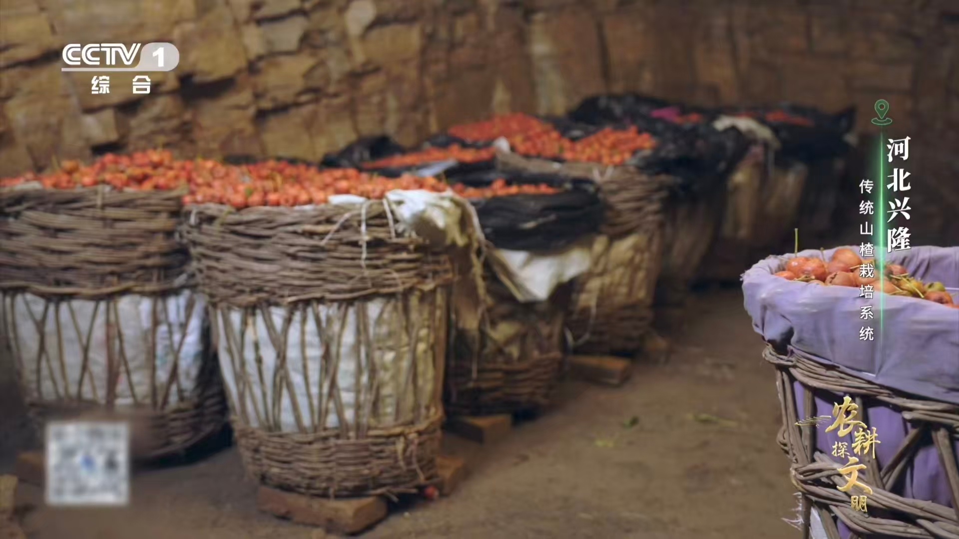 熬过漫长沉淀，才酿成满口酸甜。这藏在时光里的耐心，真的太让人动容！ 