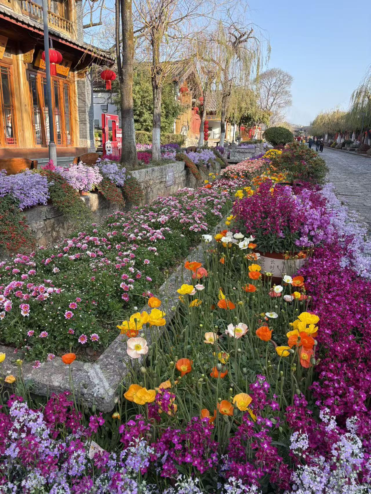 晒图笔记大赛丽江，太美了吧