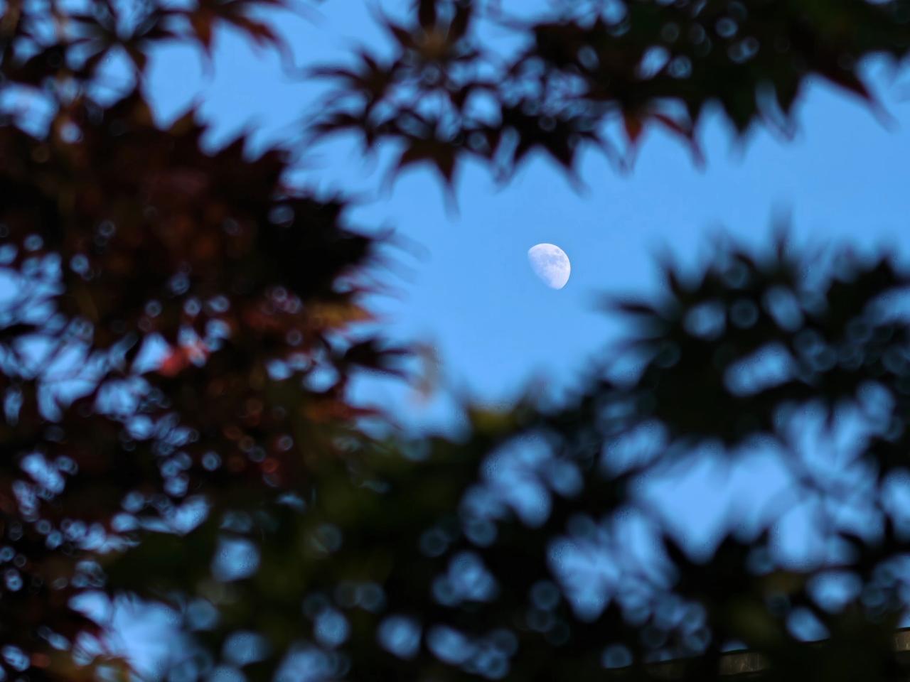 我说手机拍的，没人信风光摄影 拍月亮