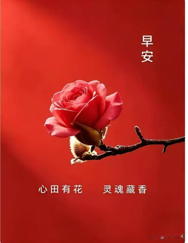 缘起缘落皆珍贵：这世上没有一个人是随便遇到的，因为缘分都是上天安排的， 想念一个