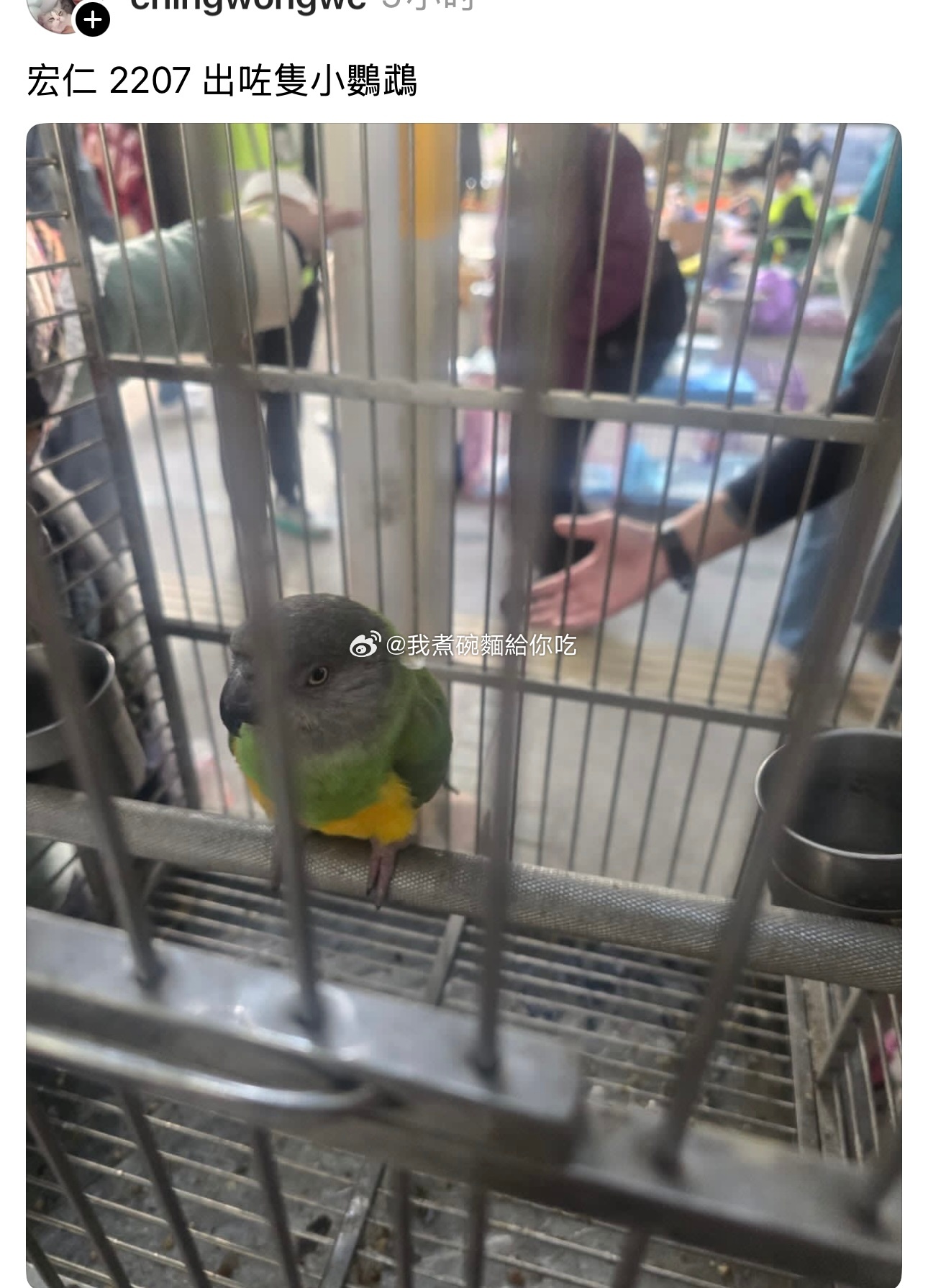 大埔宏福苑火灾，消防员在全力救助受困居民的同时，亦对受困宠物进行救援。.在救援过