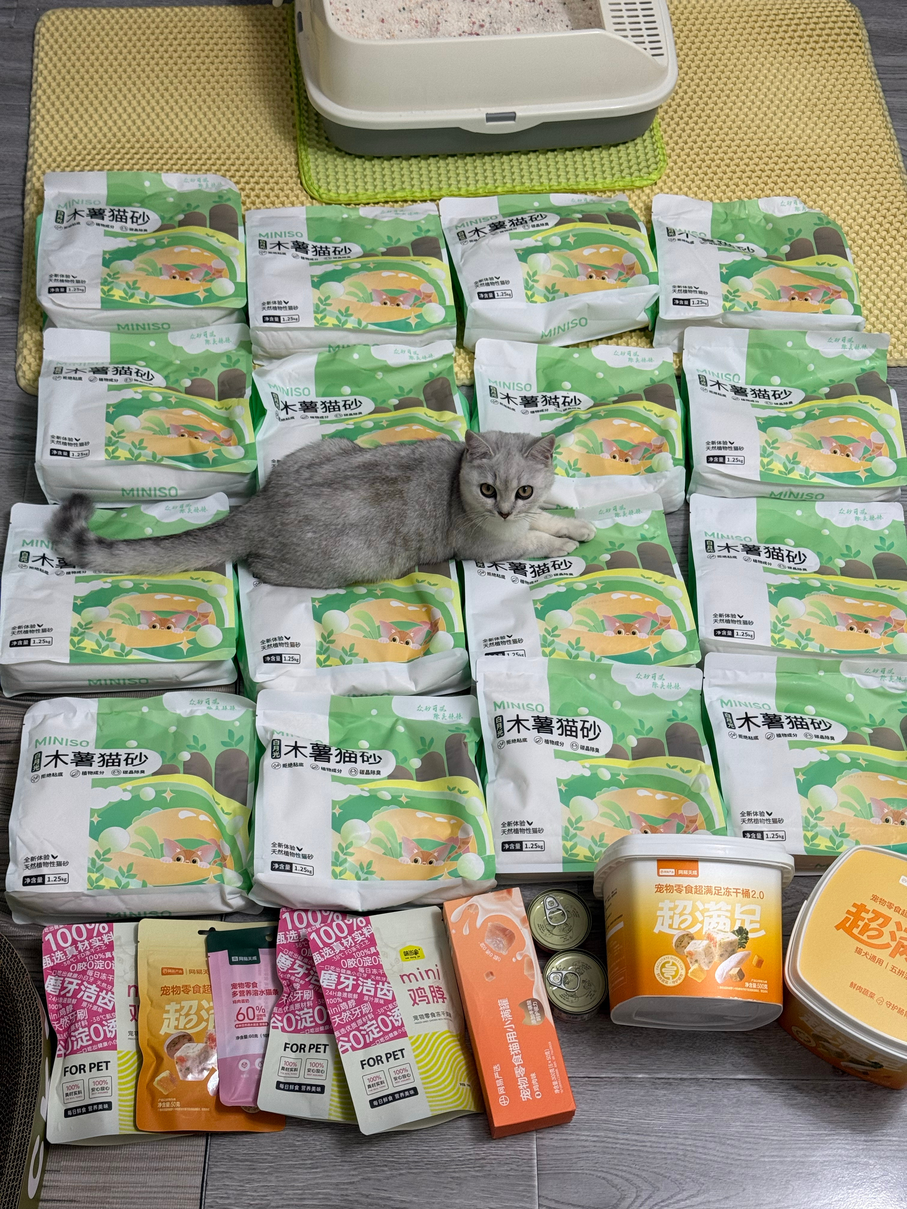 咪的天 和小猫吵架了把刚刚买的猫粮退了现在重新下单用不了优惠券更贵了 