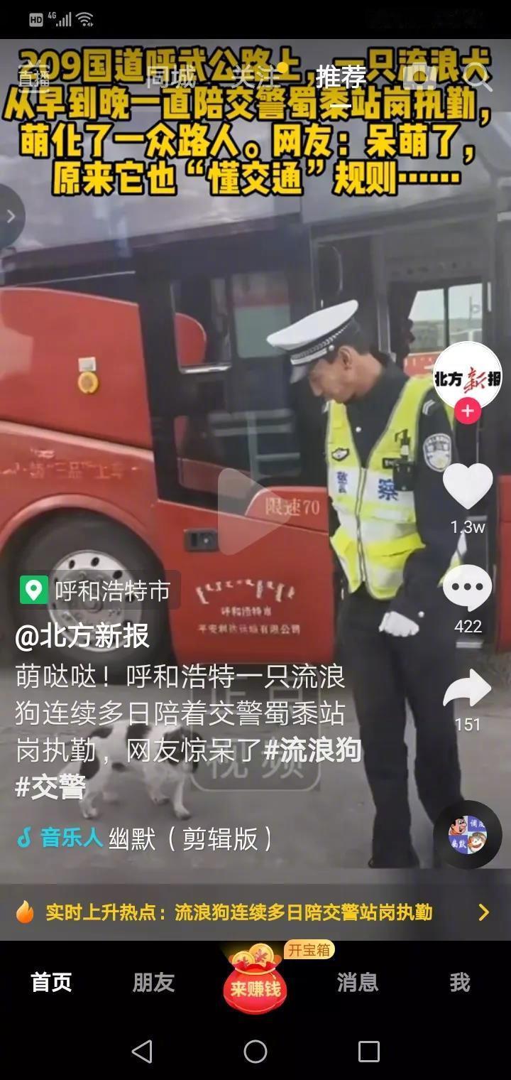 209国道呼武公路上，一条流浪狗一连好几天陪着交警站岗执勤，并且是从早到晚守着交