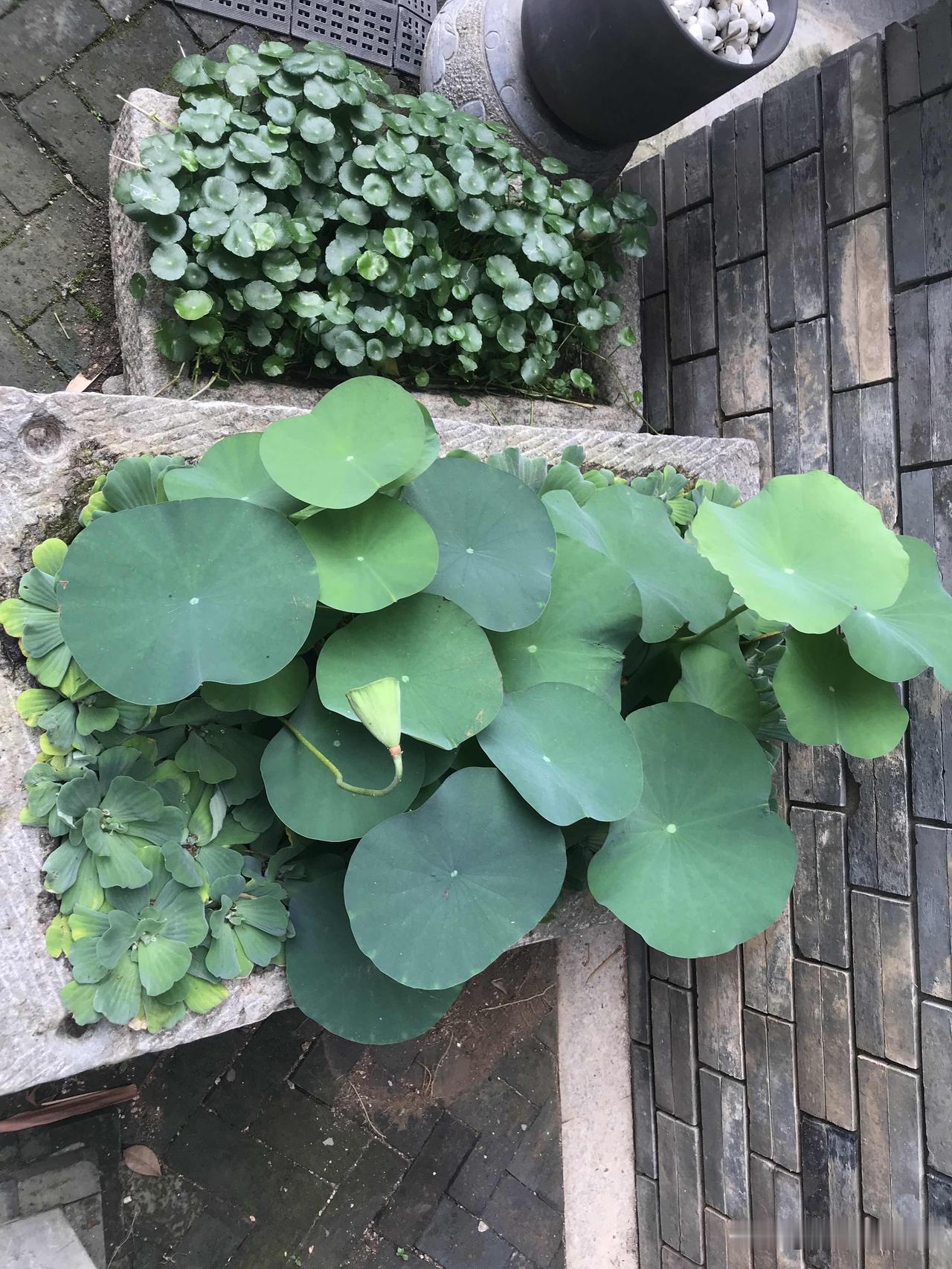 无论是深圳中考、高考还是广州考研，均只是陪孩子吃了一顿饭，打打气，陪考从来没有过